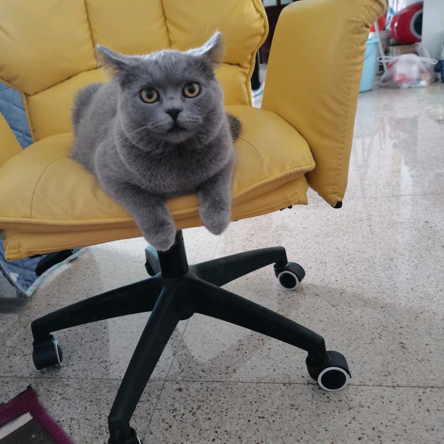 人生没有如果，只有后果和结果，