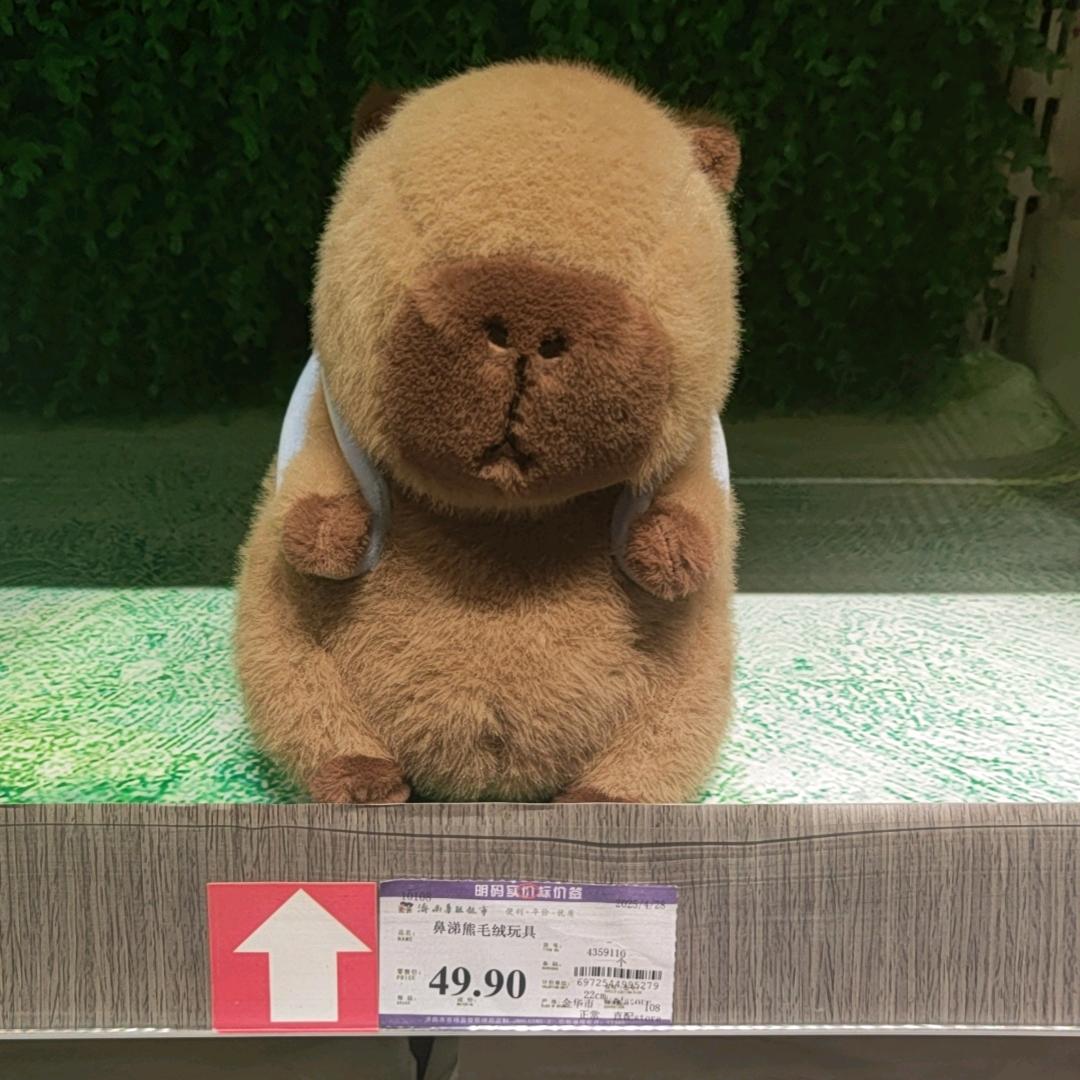 萍萍