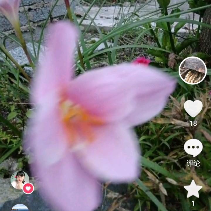 户外 求生 猫哥哥