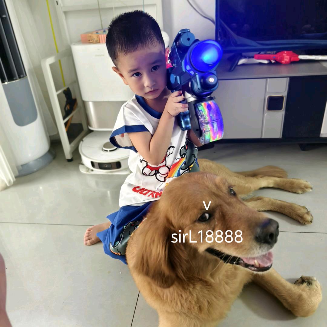 卢sir🐶