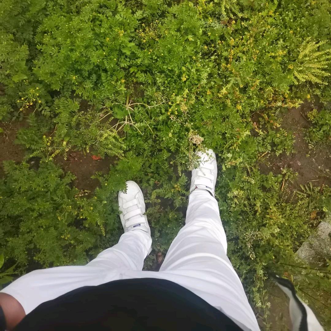 七一