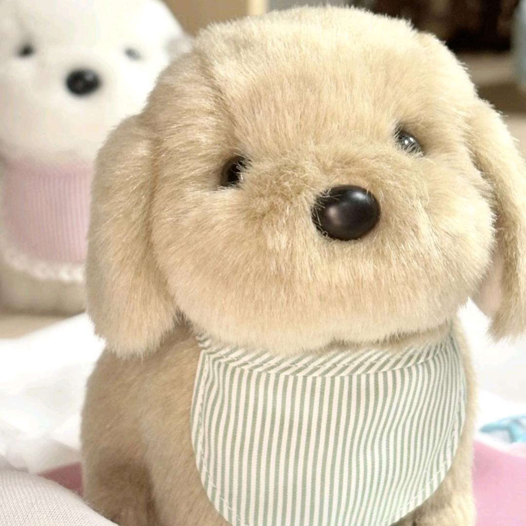 开心快乐每一天