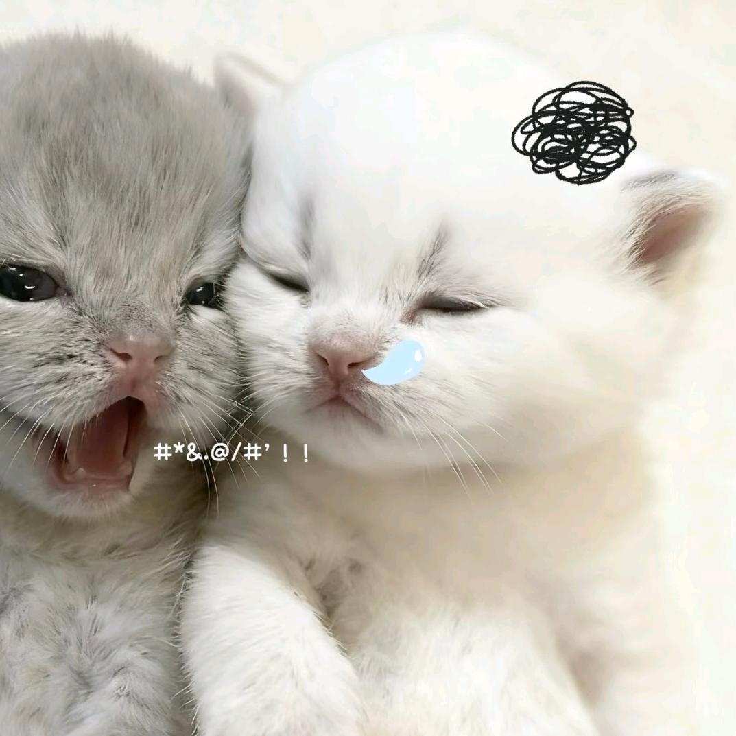 #P呆睡宅✞