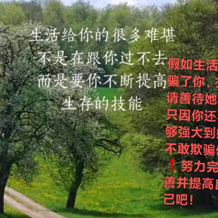 如梦似幻