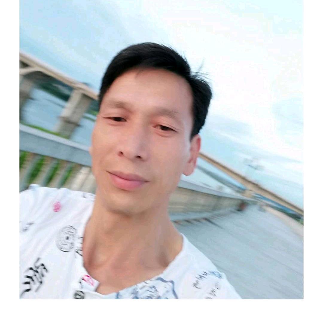 誠实装饰