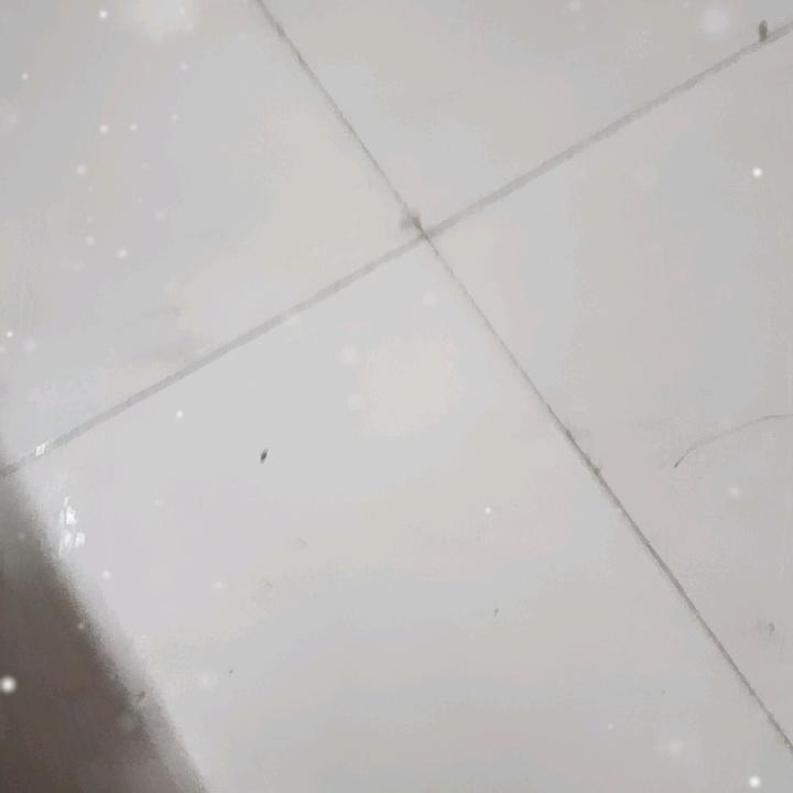 开心一整天