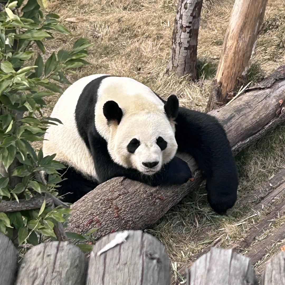 搞笑男