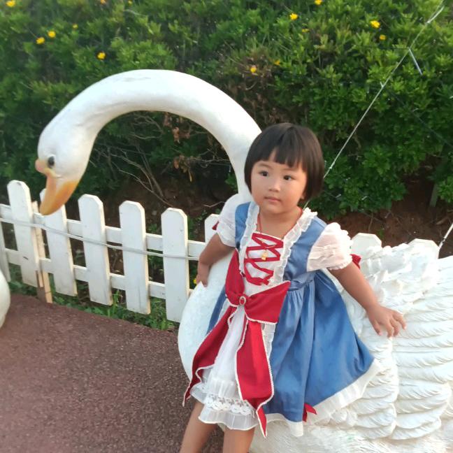 冰山雪莲