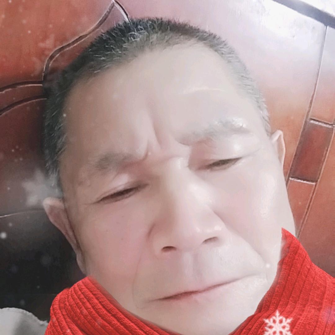 ，春天的玫瑰