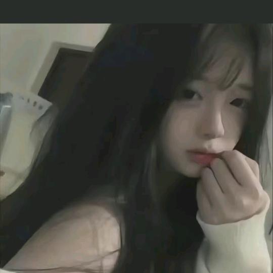 茶
