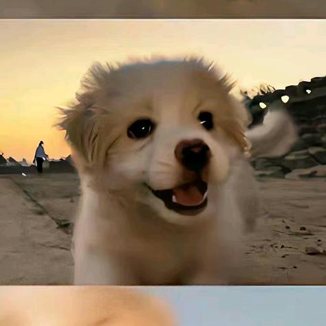 fhyfy