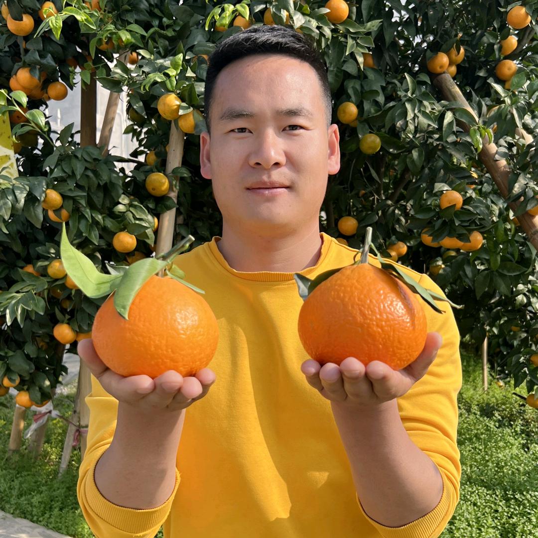 翁班长水果