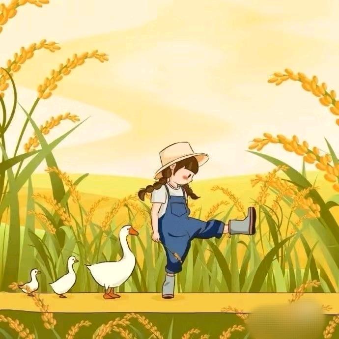 橙子🍊@