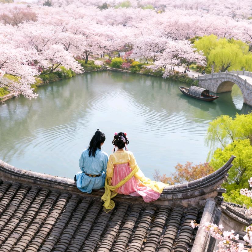 超级爱土豆的瑶❤