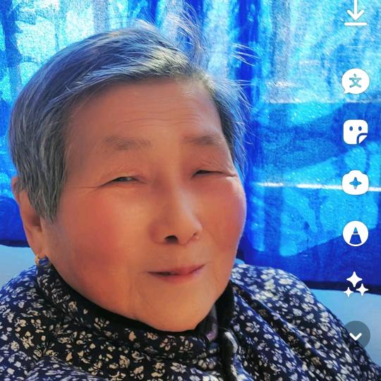 吴家老太
