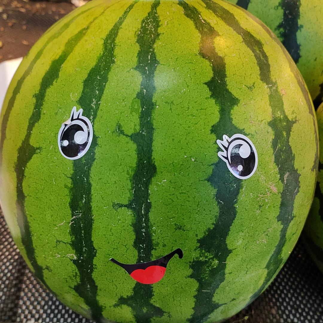 及时行乐