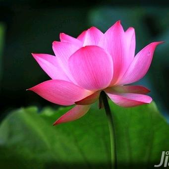 春🌹夏🌴秋🌾冬❄️