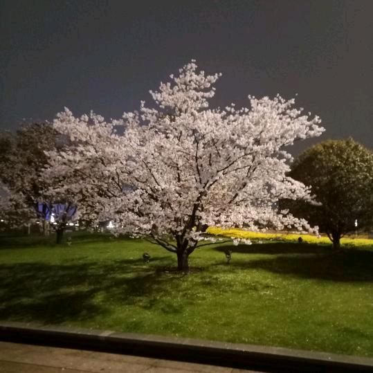 你就是我的结果