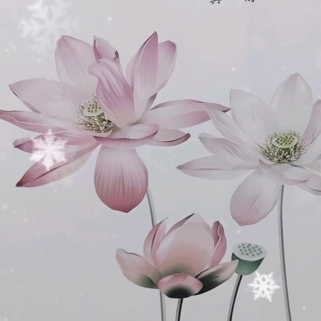 🦄微微🍀🍀🐑🐇🌼🌼