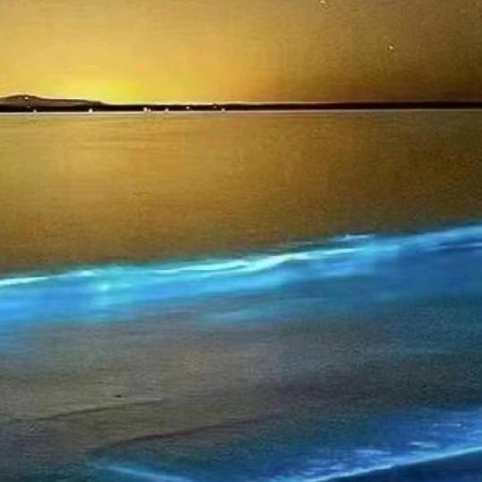 一望无际