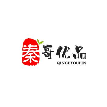 秦哥严选分享