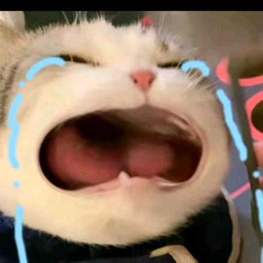 鸭皮