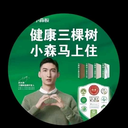 三棵树小森板（合肥）  陈飞