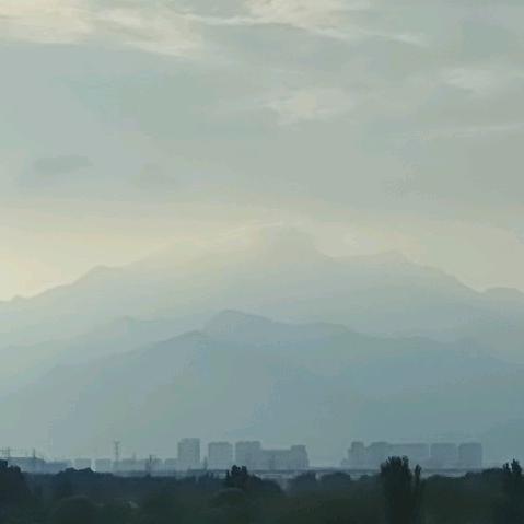 刚毅的鹰