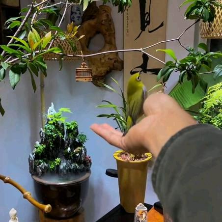 上谷保定市昂然房地产经纪有限公司