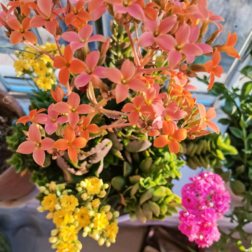 轻松愉快