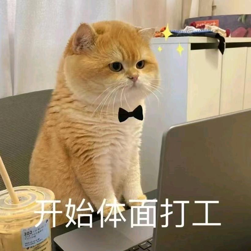 哟 兔然暴富