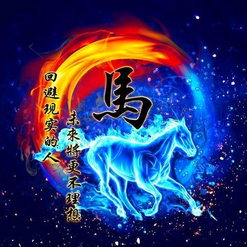 小马哥