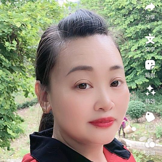 春天的绿叶