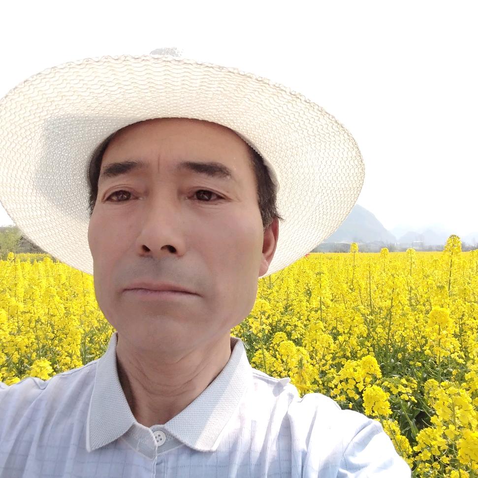 金荣