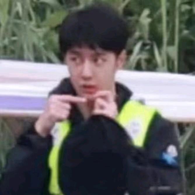 好大一棵椰子树