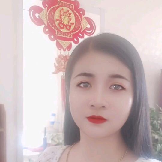 飞向蓝天的雁子