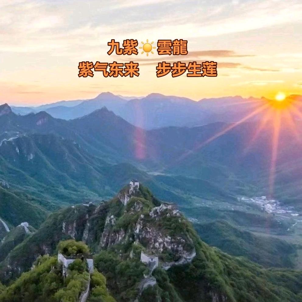 九紫☀雲龍