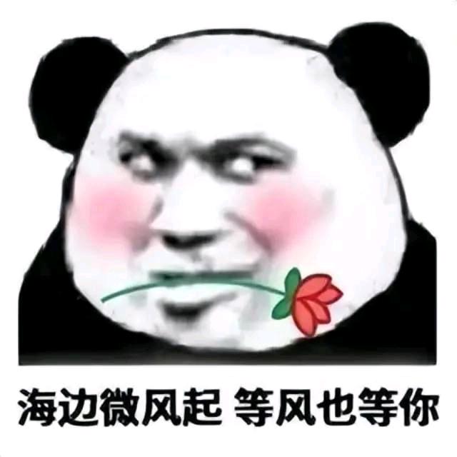 等风来丿