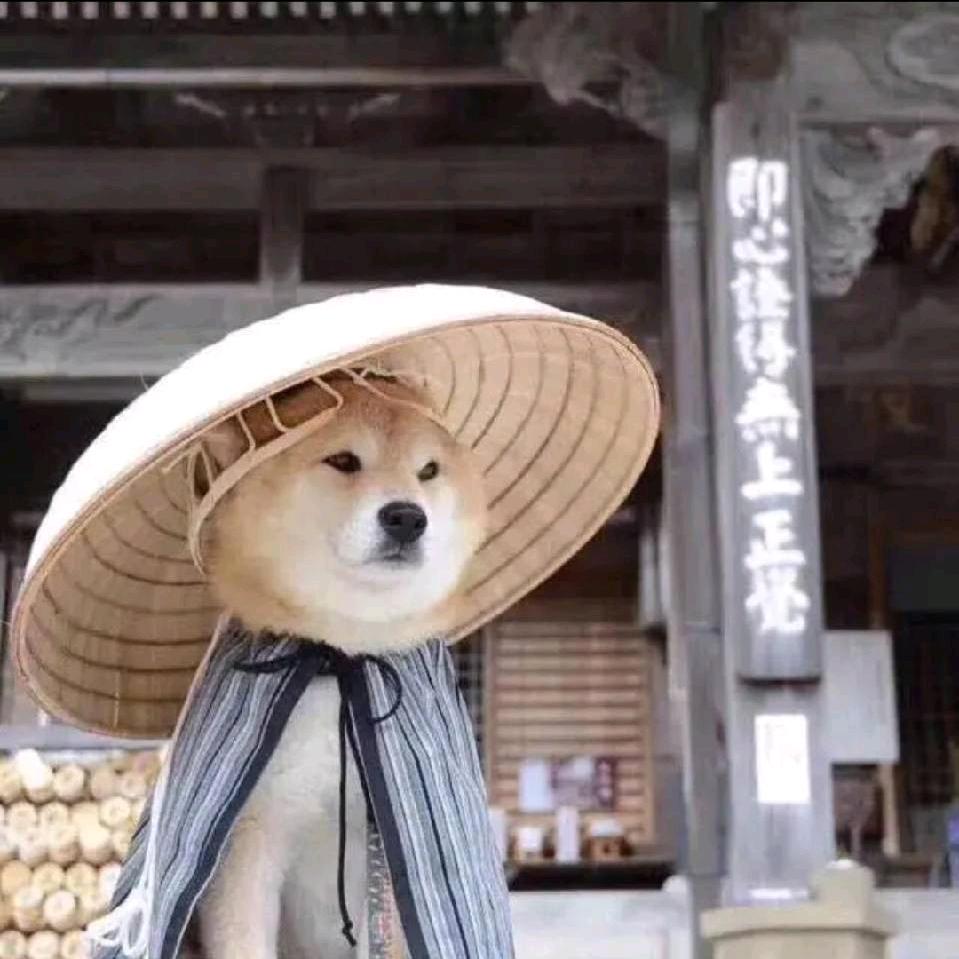 狗子