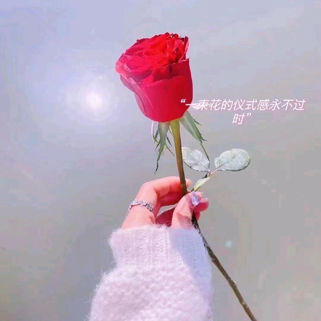 玫瑰恋人