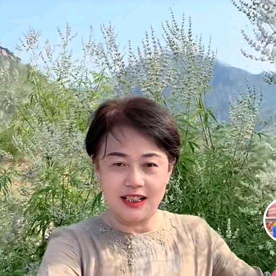 胡姐 黄荆子枕头源头厂家