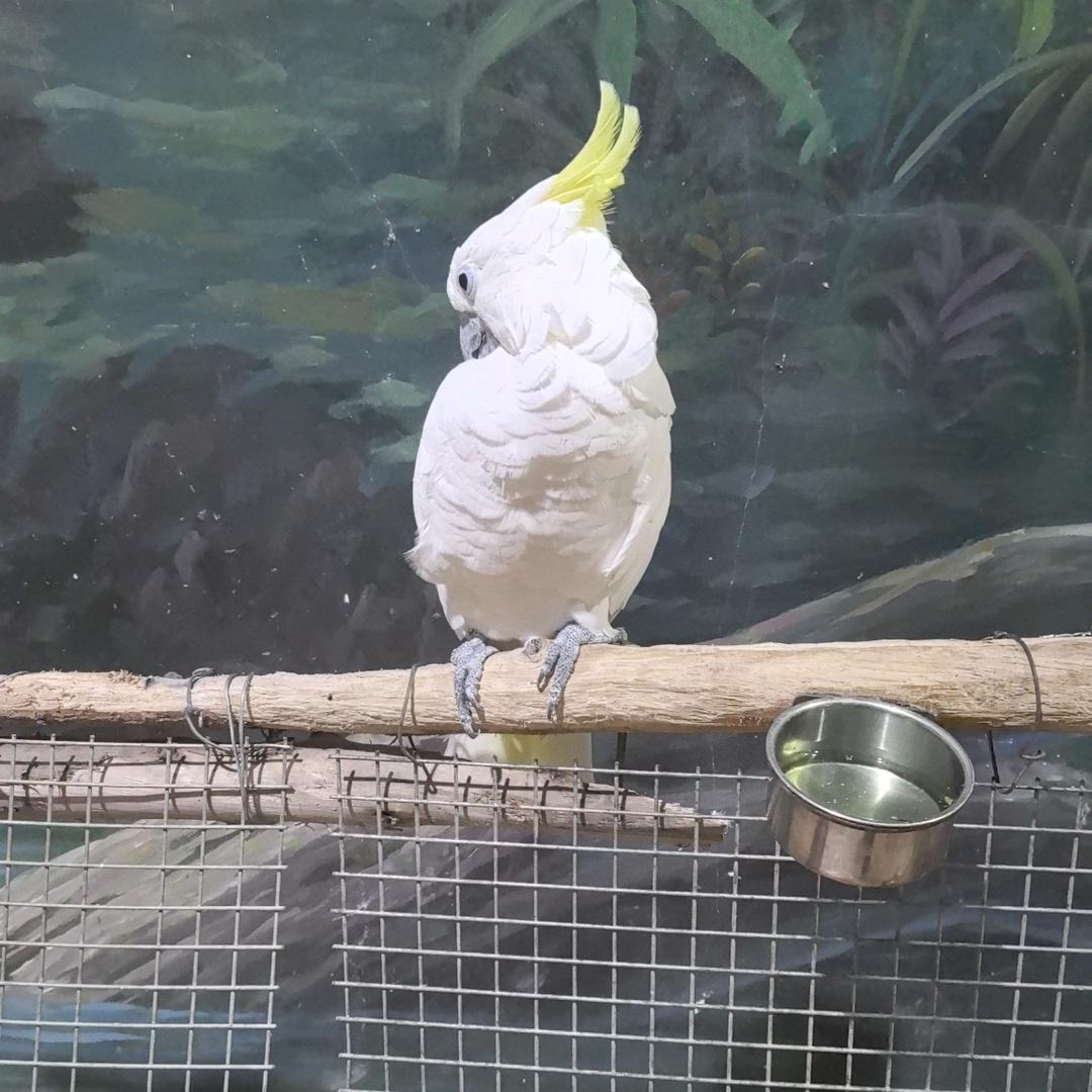 劲辉潮玩