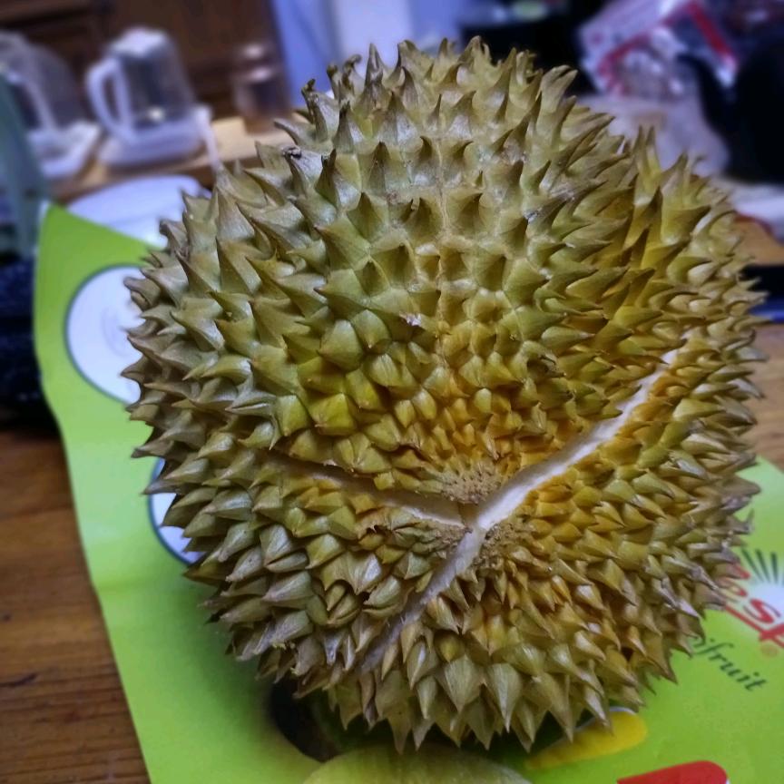 画骨成沙