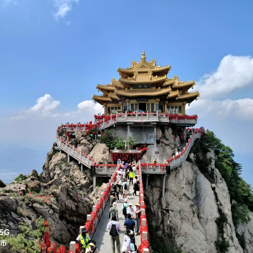 努力拼搏（胖哥）