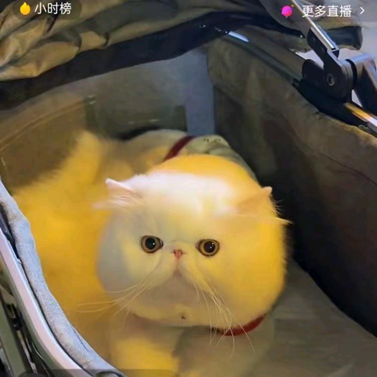 阿南