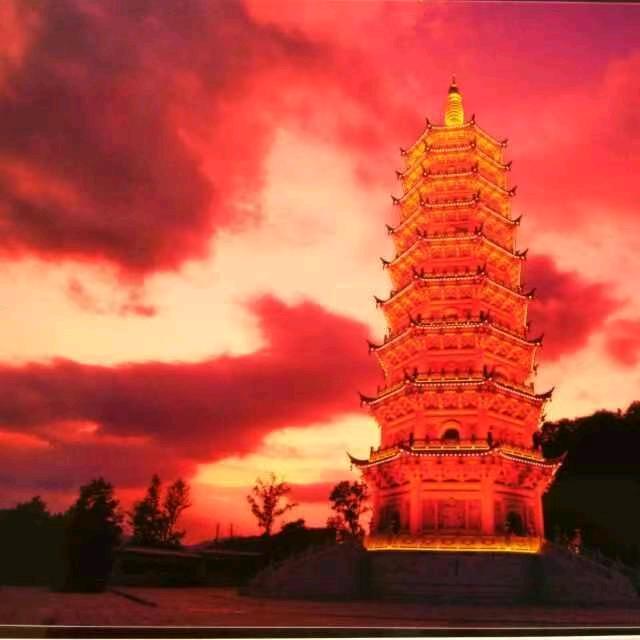鱼龙兵