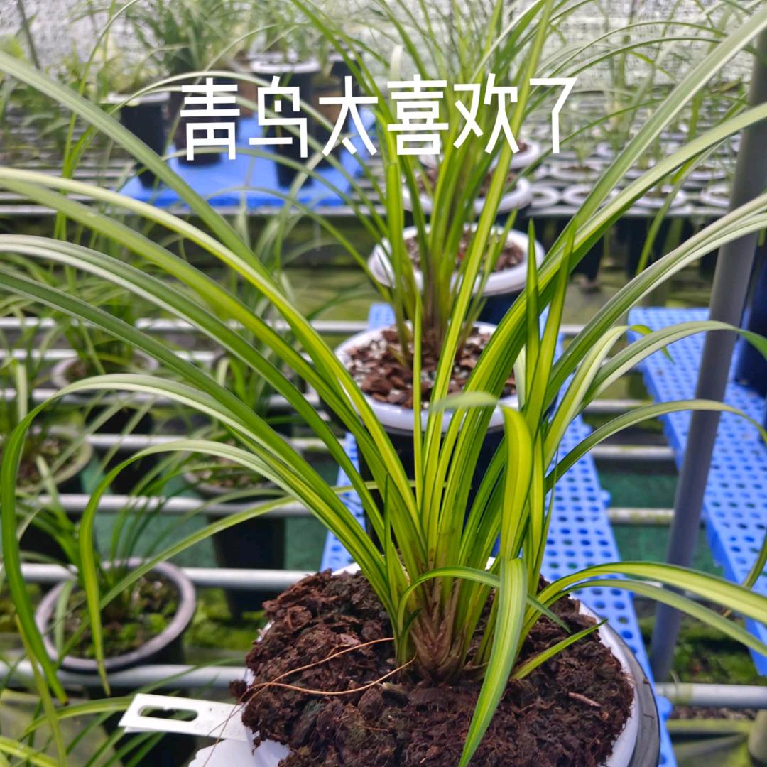 用户7659016652680