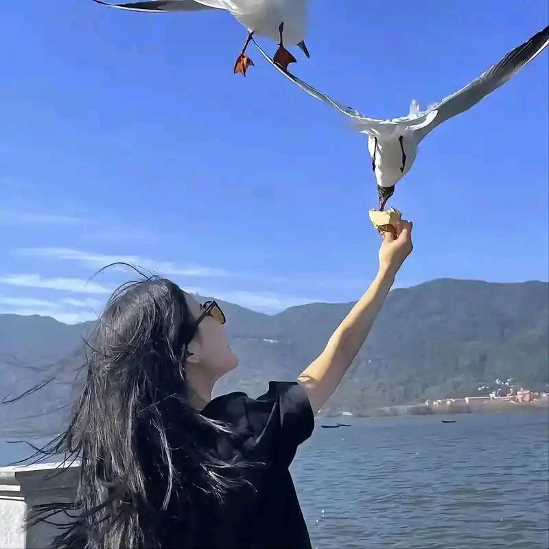 萍儿呀