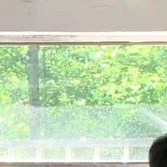 等待那天的到来