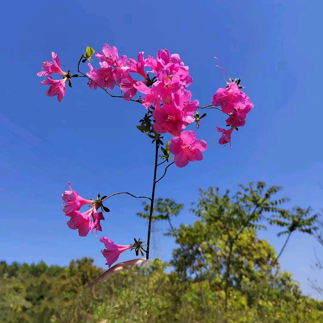搞钱要紧